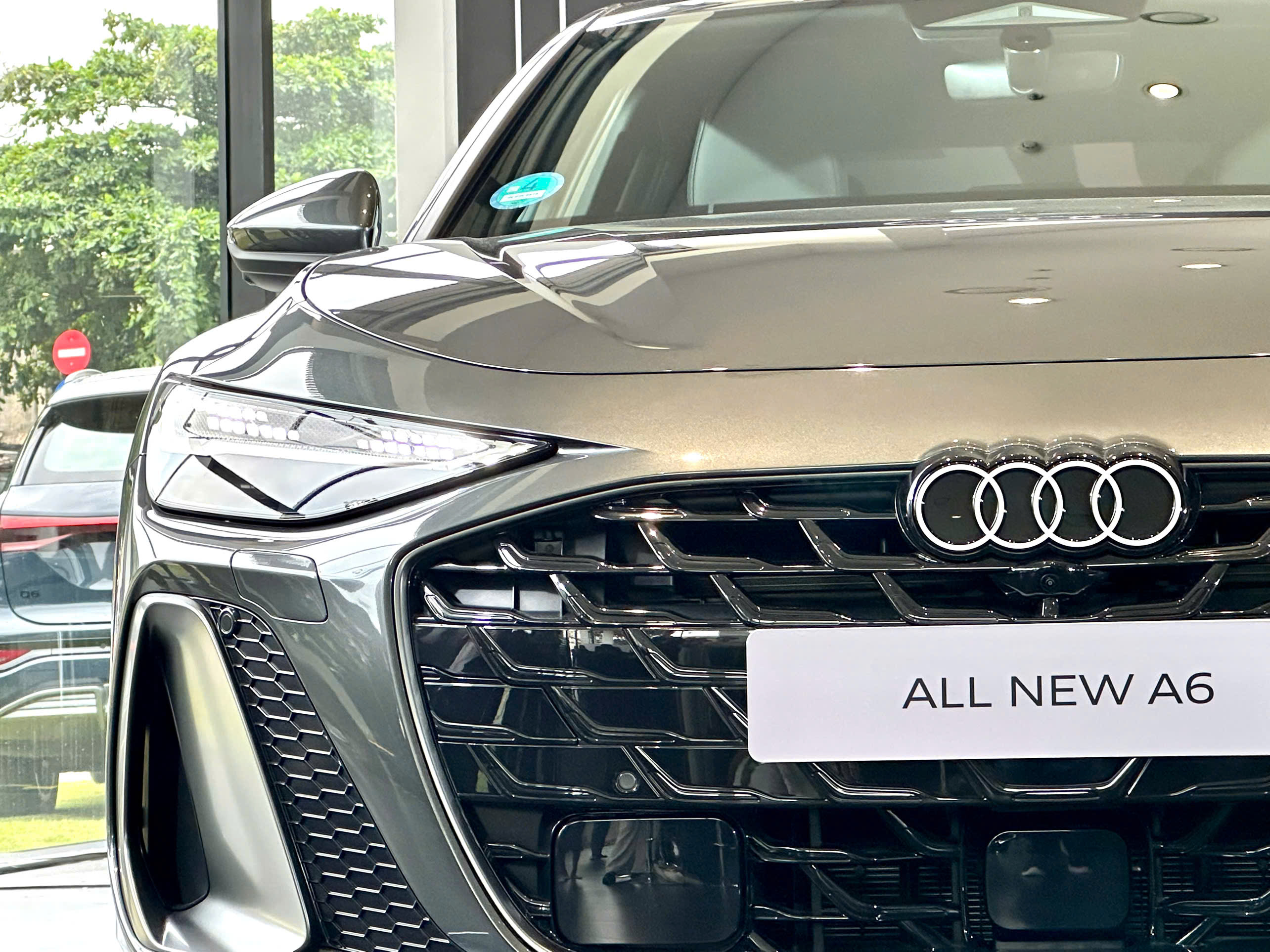 Audi A6 (4).jpg
