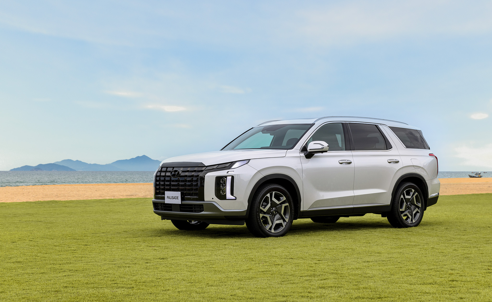 Hyundai Palisade (1).jpg