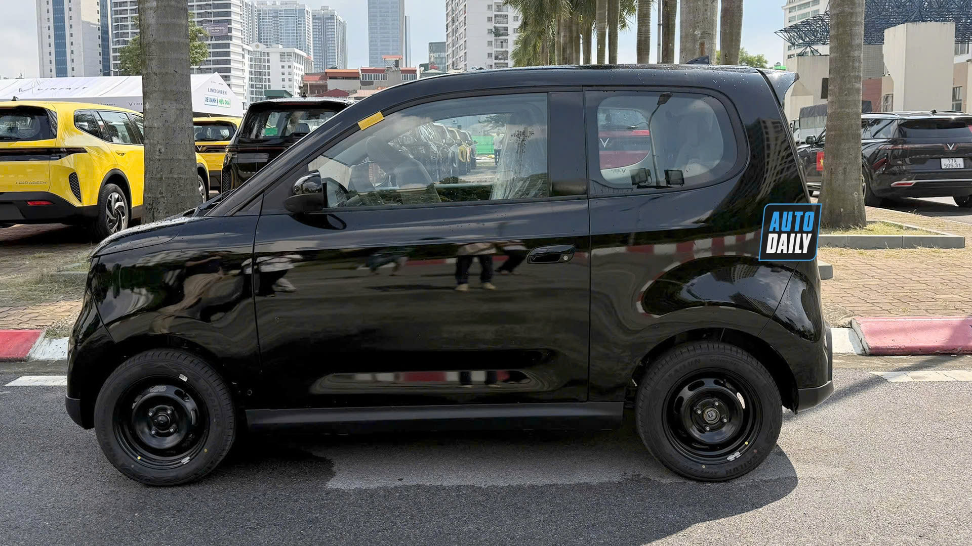 Minio Green  (4).jpg