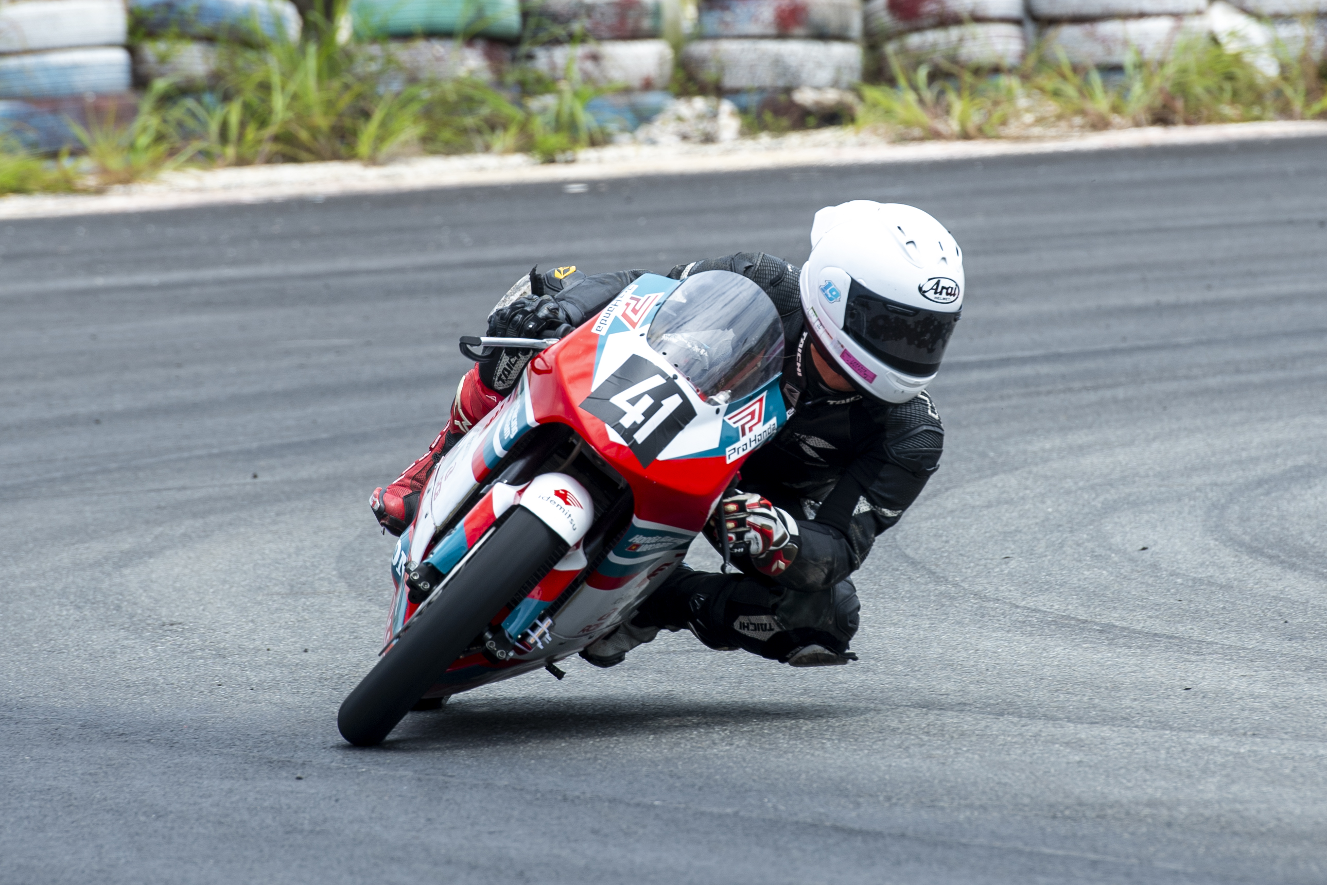 nsf250 (11).JPG