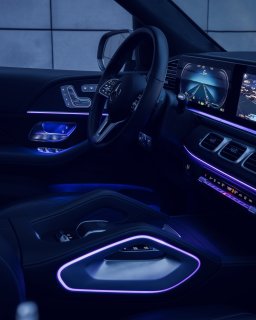 11. Maybach GLS 480 FL.jpg
